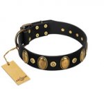 "Venerable Pawty" FDT Artisan Black Leather Dogue de Bordeaux Collar with Old Bronze-like Ovals and Studs
