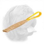 Excellent Dogue de Bordeaux Puppy Jute Bite Tug