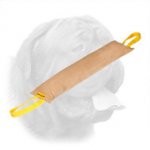 Enormous Dogue de Bordeaux Leather Bite Tug