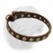 Gorgeous Leather Dogue de Bordeaux Collar With Dotted Circles