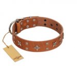 "Dreamy Gleam" FDT Artisan Tan Leather Dogue de Bordeaux Collar Adorned with Stars and Squares