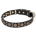 "Boho Style" Leather Dogue de Bordeaux Collar with Massive Brass Decorations