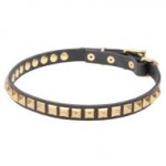 Narrow Leather Dogue de Bordeaux Collar with Brass Studs