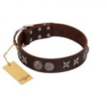 "Silver Sunset" Designer Handmade FDT Artisan Brown Leather Dogue de Bordeaux Collar