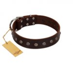 "Graceful Classic" Mod FDT Artisan Brown Leather Dogue de Bordeaux Collar