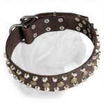 Fabulous Dogue de Bordeaux Decorated Leather Collar