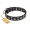 "Refined Essence" FDT Artisan Black Leather Dogue de Bordeaux Collar with Silvery Studs
