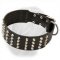 Extra Wide Leather Collar Decorated with Pyramids for Dogue de Bordeaux