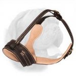 Royal Integrity Dogue de Bordeaux Nappa Padded Leather Muzzle