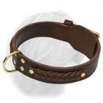Wide 2 Ply Fur Saving Leather Collar with Braids for Dogue de Bordeaux