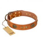"Sun Beams" FDT Artisan Tan Leather Dogue de Bordeaux Collar with Decorations