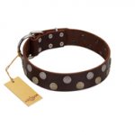 "Shadow Warrior" FDT Artisan Mystic Brown Leather Dogue de Bordeaux Collar with Runes