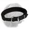 Dependable Padded Leather Collar for Dogue de Bordeaux