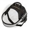 Functional Nylon Dog Harness with ID Patches and Reflective Trim