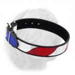 Stars&Stripes Hand Painted Extra Wide Dogue de Bordeaux Leather Collar