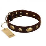 "Hebe's Jewel" FDT Artisan Brown Genuine Leather Dogue de Bordeaux Collar