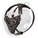 Exclusive Handcrafted Leather Harness for Protection or Agitation Work