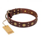 "Caprice of Fashion" FDT Artisan Brown Leather Dogue de Bordeaux Collar with Round Decorations