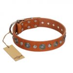 "Natural Beauty" FDT Artisan Tan Leather Dogue de Bordeaux Collar with Shining Silver-like Studs