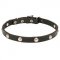 Dogue de Bordeaux Collar with Half-Ball Chrome Plated Studs