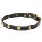 Outstanding Quality Leather Collar with Brass Studs for Dogue de Bordeaux