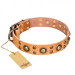 'Sophisticated Glamor' FDT Artisan Tan Leather Dogue de Bordeaux Collar with Lovely Old-Bronze Plated Decorations