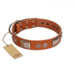 "Pawsy Glossy" FDT Artisan Exclusive Tan Leather Dogue de Bordeaux Collar 1 1/2 inch (40 mm) wide