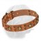 Awesome "Space-Like" Dogue de Bordeaux Leather Collar