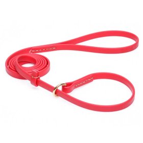 Durable Red Biothane Dogue de Bordeaux Leash and Collar Combo
