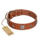 "Lucky Star" FDT Artisan Tan Leather Dogue de Bordeaux Collar with Silver-Like Embellishments