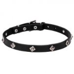 Extra Strong Leather Dogue de Bordeaux Collar with Studs