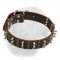 Dogue de Bordeaux Extra Wide Leather Buckle Collar with Interchanging Columns of Spikes and Studs