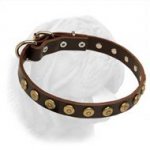 Gorgeous Leather Dogue de Bordeaux Collar With Dotted Circles