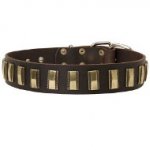 Trendy Dogue de Bordeaux Leather Collar with Brass Covered Plates