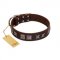 "Needle Stories" Modern FDT Artisan Brown Leather Dogue de Bordeaux Collar with Square Engraved Plates and Four-Point Stars