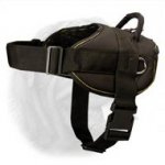 Light Weight Nylon Harness for Dogue de Bordeaux's Pulling and Tracking