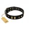 "De Luxe" FDT Artisan Black Leather Dogue de Bordeaux Collar with Old Bronze-like Plates and Studs