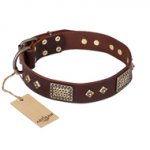 "Loving Owner" FDT Artisan Decorated Leather Dogue de Bordeaux Collar with Plates and Studs