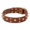 Genuine Leather Dogue de Bordeaux Collar with Brass Spikes and Skulls