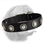 Nylon Dogue de Bordeaux Collar with Silver Conchos