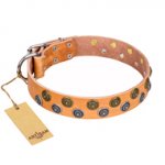 "Precious Sparkle" FDT Artisan Tan Leather Dogue De Bordeaux Collar with Vintage Round Plates