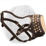Leather Muzzle with Pyramids and Round Brass Studs
