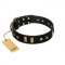 "Fit for Royalty" FDT Artisan Black Leather Dogue de Bordeaux Collar with Plates and Small Square Studs