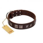 "Needle Stories" Modern FDT Artisan Brown Leather Dogue de Bordeaux Collar with Square Engraved Plates and Four-Point Stars