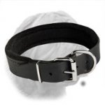 Leather Dogue de Bordeaux Collar with Thick Felt Padding