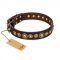 "Ancient Warrior" FDT Artisan Fancy Leather Dogue de Bordeaux Collar with Old-Bronze Plated Decorations