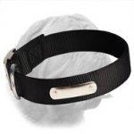 Nylon Practical Collar for Dogue de Bordeaux