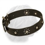 "Flower Blues" Adorable Dogue de Bordeaux Collar