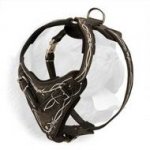 Handcrafted Leather Training Harness for Dogue de Bordeaux Breed with Barbed Wire Painting