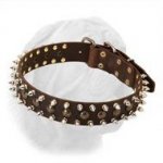 3 Rows Spiked and Studded Extra Wide Leather Collar for French Mastiff